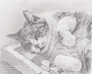 Mama cat trimw