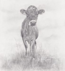cowstitchedscan small w