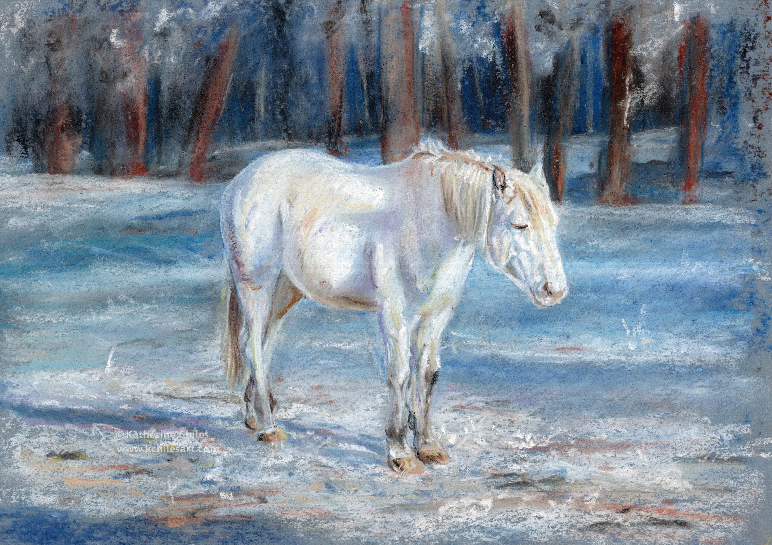 Pastel Drawing of White Horse